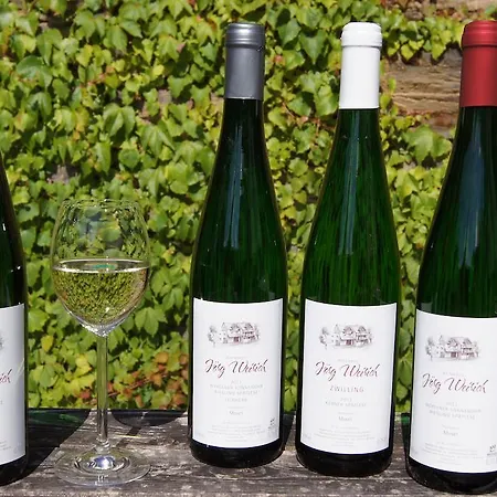 Séjour à la ferme Wein- & Joerg Weirich Commune fusionnée de Bernkastel-Kues